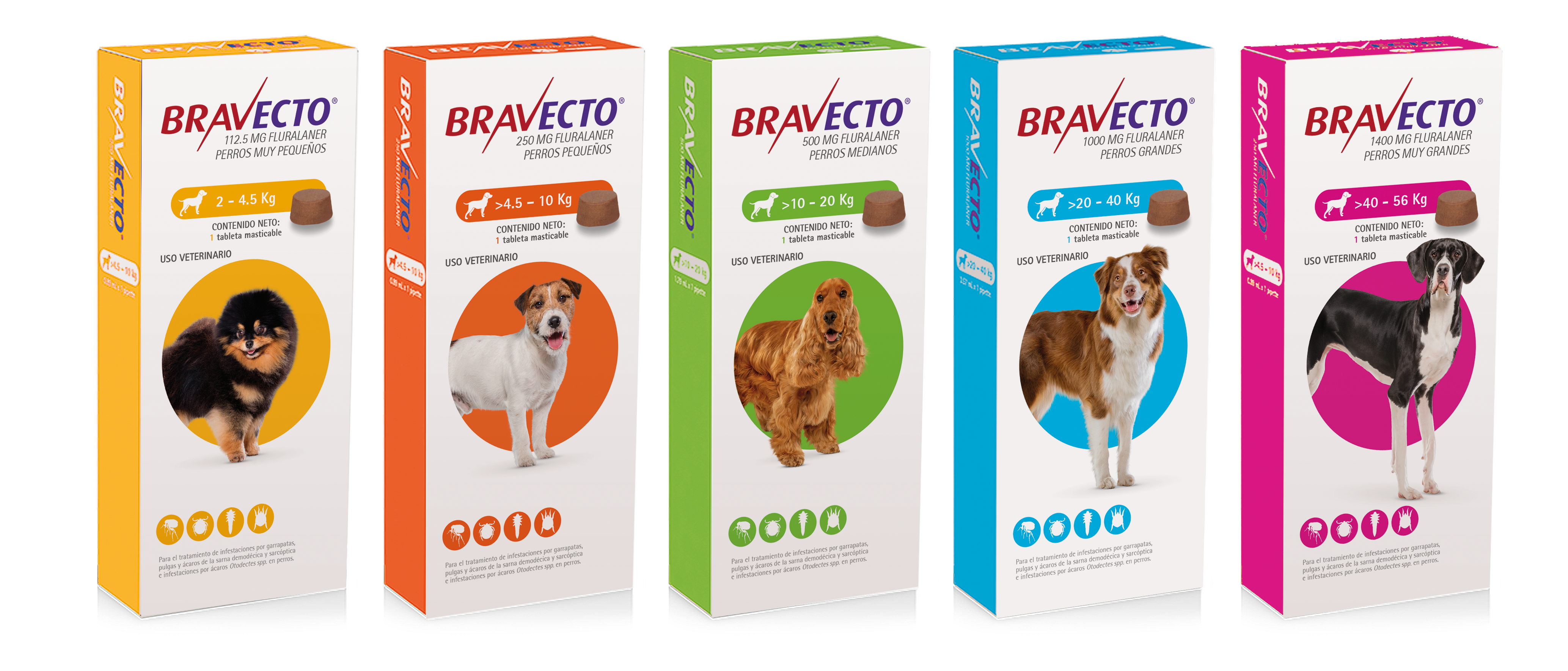 Producto 4